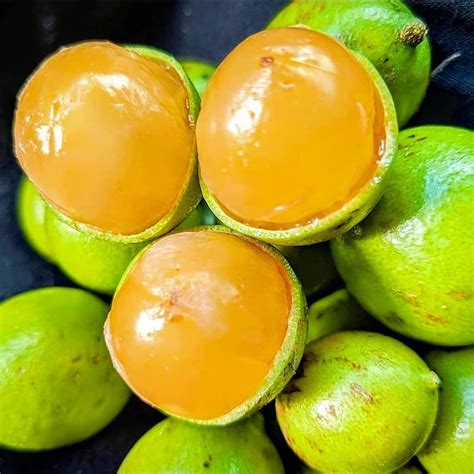 Guinep Fruit Where to Buy: Exploring the Sweet and Tangy Delight