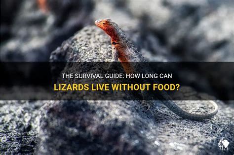 How Long Do Lizards Live Without Food: A Dive into Survival and the Unexpected