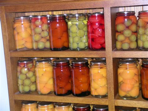 How to Preserve Fruit: A Symphony of Flavors and Time