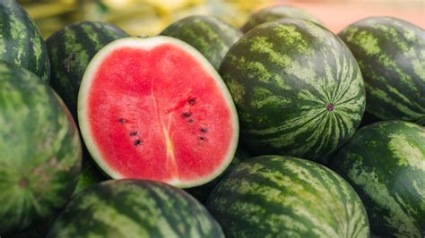 Is a Watermelon a Fruit or a Vegetable? And Why Does It Refuse to Wear a Jacket in Winter?