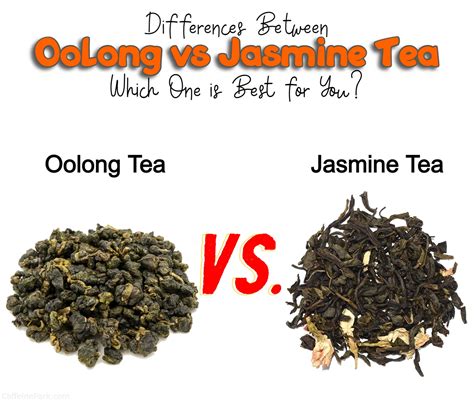 Is Jasmine Tea the Same as Green Tea? Exploring the Blossoming Differences