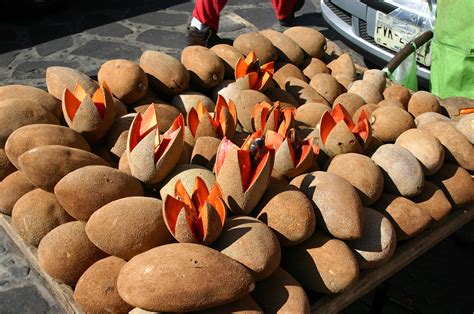 Mamey Fruit Where to Buy: A Journey Through Tropical Delights and Unlikely Connections