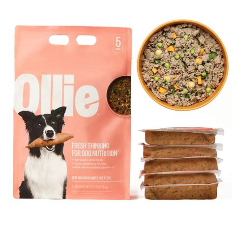 ollie dog food where to buy: A Journey Through Canine Nutrition and Shopping Convenience