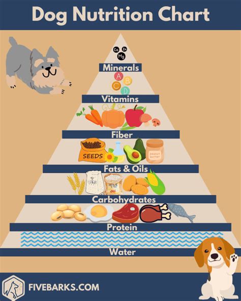 What is 1 Cup of Dog Food: A Journey Through Canine Nutrition and Beyond