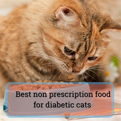 What is the best non prescription food for diabetic cats? And why do they always seem to prefer the box over the bed?